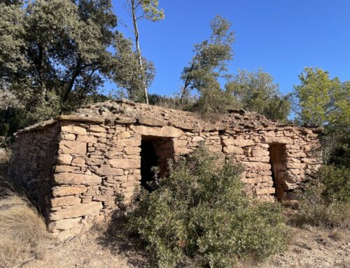 Descobreix els Secrets del Bages:  els itineraris de Pedra Seca de la Ruta del Vi de la DO Pla de Bages