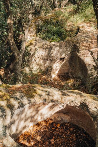 La ruta del vi de la DO Pla del Bages - Les pedres que parlen al Racó de Sant Cugat