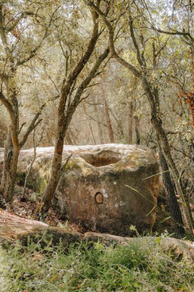 La ruta del vi de la DO Pla del Bages - Les pedres que parlen al Racó de Sant Cugat