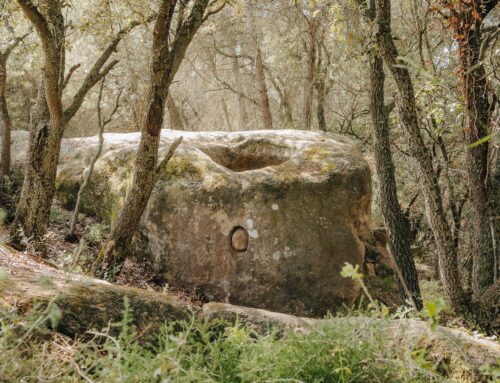 Les pedres que parlen al Racó de Sant Cugat