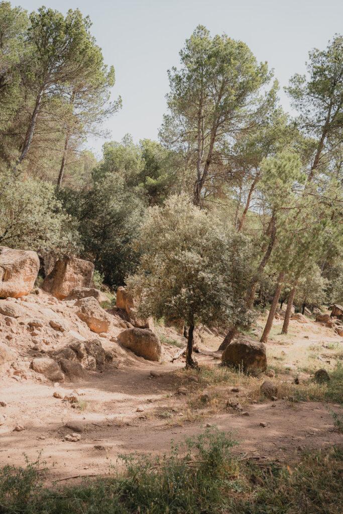 La ruta del vi de la DO Pla del Bages - Les pedres que parlen al Racó de Sant Cugat