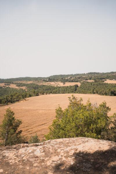 La ruta del vi de la DO Pla del Bages - Les pedres que parlen al Racó de Sant Cugat