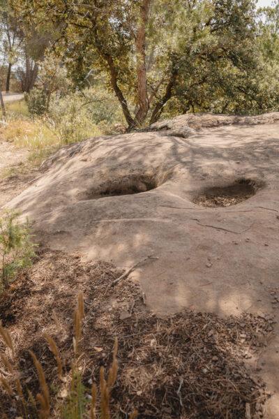 La ruta del vi de la DO Pla del Bages - Les pedres que parlen al Racó de Sant Cugat