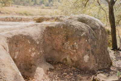 La ruta del vi de la DO Pla del Bages - Les pedres que parlen al Racó de Sant Cugat