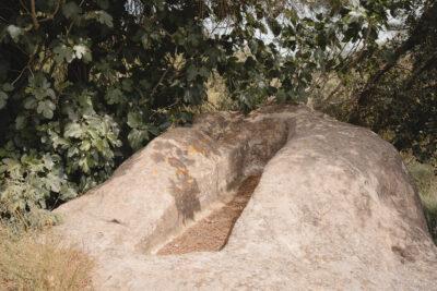 La ruta del vi de la DO Pla del Bages - Les pedres que parlen al Racó de Sant Cugat