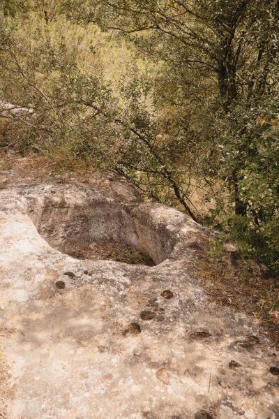 La ruta del vi de la DO Pla del Bages - Les pedres que parlen al Racó de Sant Cugat