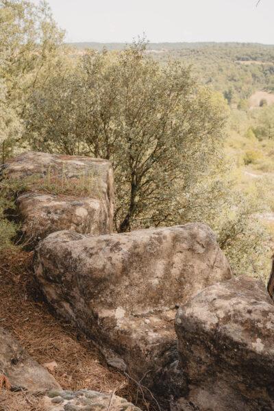 La ruta del vi de la DO Pla del Bages - Les pedres que parlen al Racó de Sant Cugat